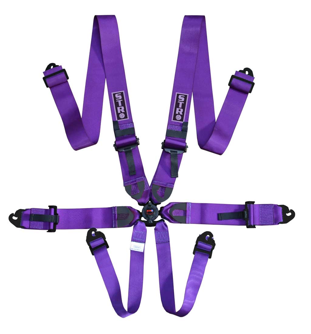 6-Point FIA Rally Belt | (2025) Approved Race Harness -Purple