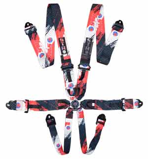 6-Point Race Harness 3&quot; Straps (2029) - STR Pattern