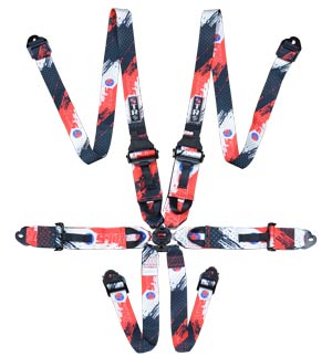 6-Point FHR Race Harness, 3&quot; to 2&quot; Straps (2029) - STR Pattern